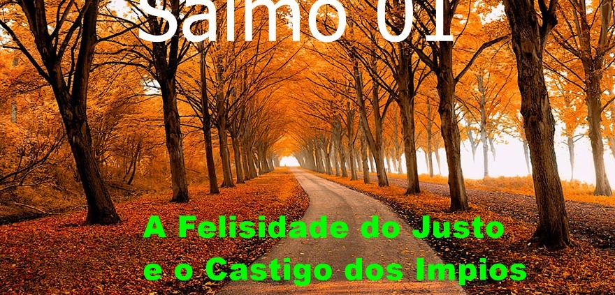 salmo 01 estudo biblico